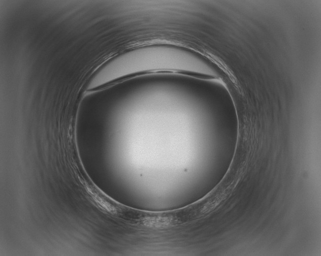 X0000082960793200702222338