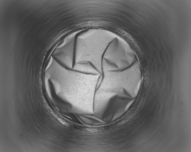 X0000082960794200702222338