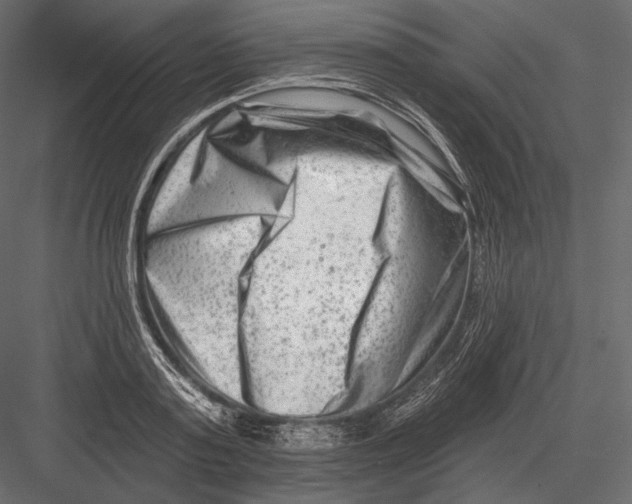 X0000082960795200702222338