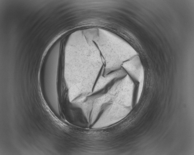 X0000082960796200702222338