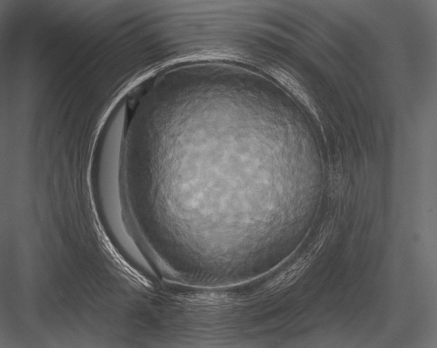 X0000082960797200702222338