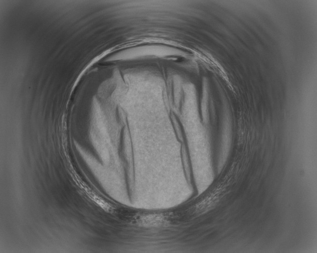 X0000082960798200702222338