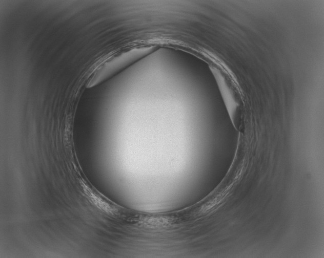 X0000082960801200702222338