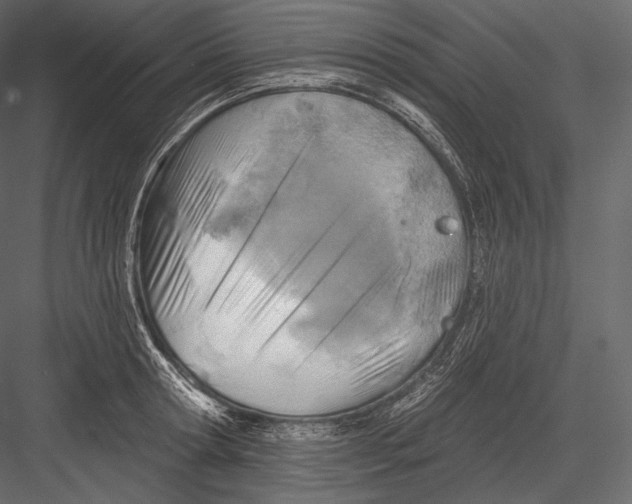 X0000082960802200702222338