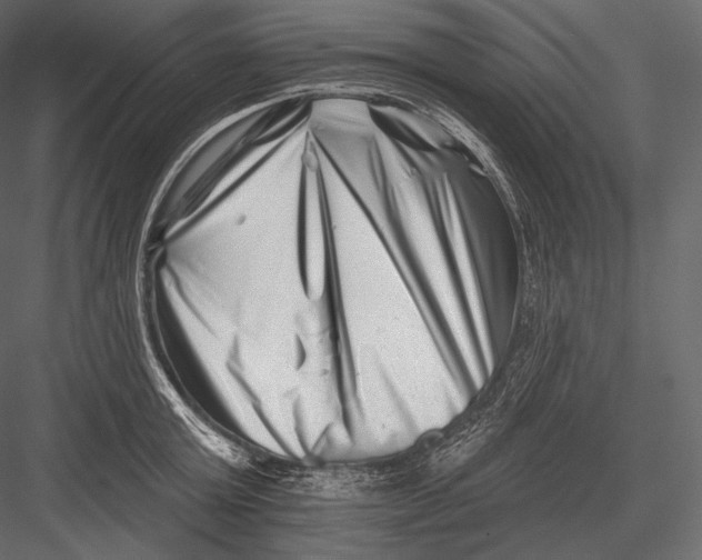 X0000082960803200702222338