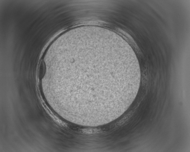 X0000082960804200702222338