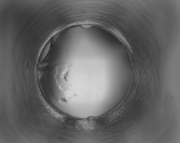 X0000082960805200702222338