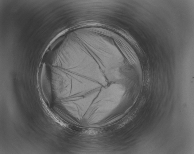 X0000082960806200702222338