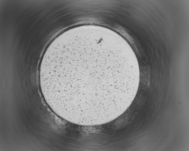 X0000082960807200702222338