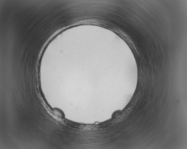 X0000082960808200702222338