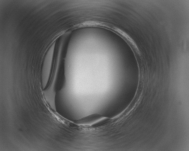 X0000082960809200702222338