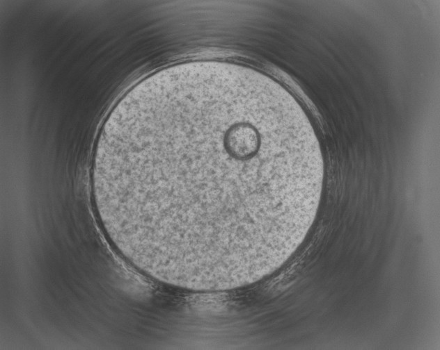 X0000082960810200702222338