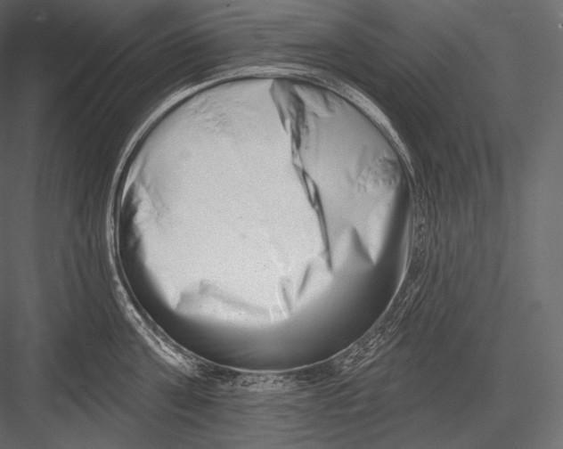 X0000082960811200702222338