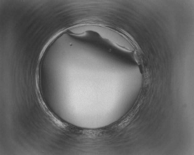 X0000082960812200702222338