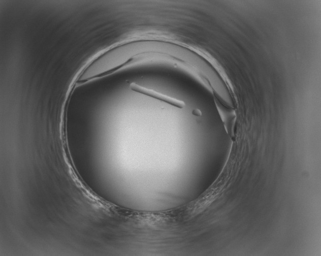 X0000082960815200702222338