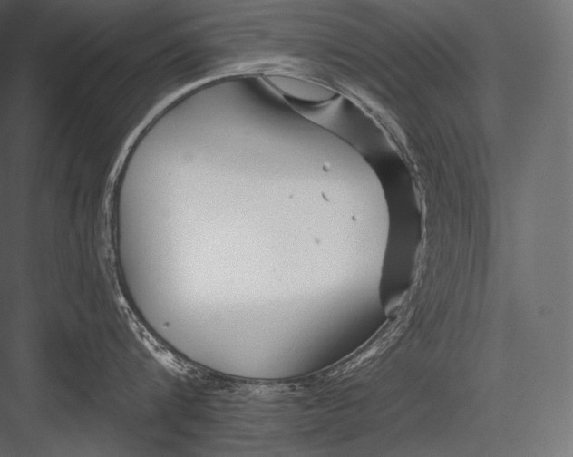 X0000082960816200702222338