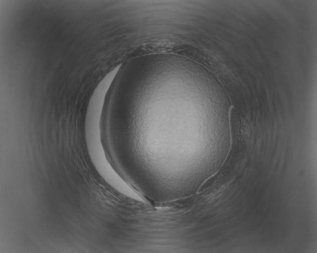 X0000082960818200702222337