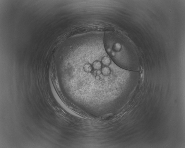 X0000082960819200702222337