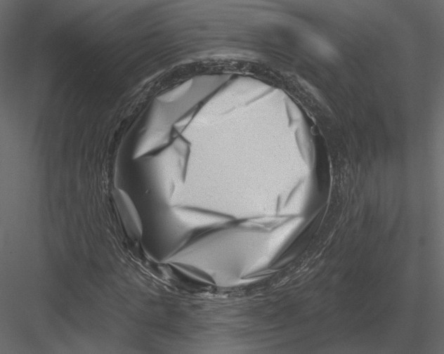 X0000082960821200702222337