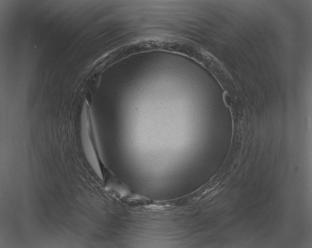 X0000082960822200702222337