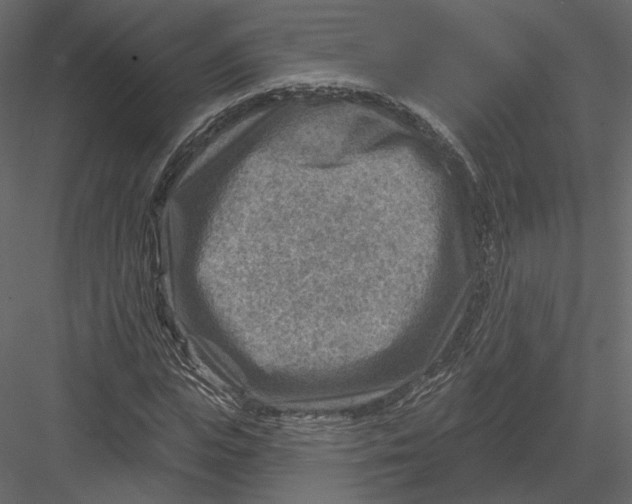 X0000082960823200702222337