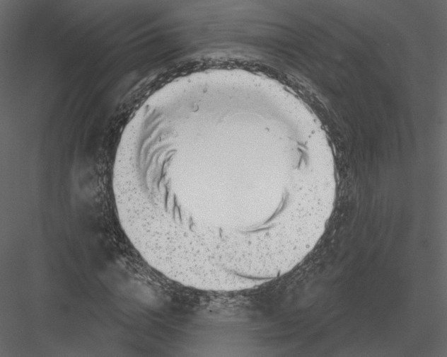 X0000082960824200702222337