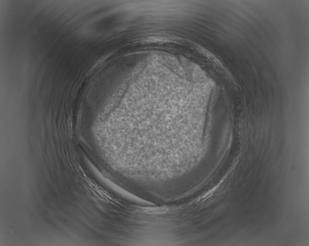 X0000082960825200702222337