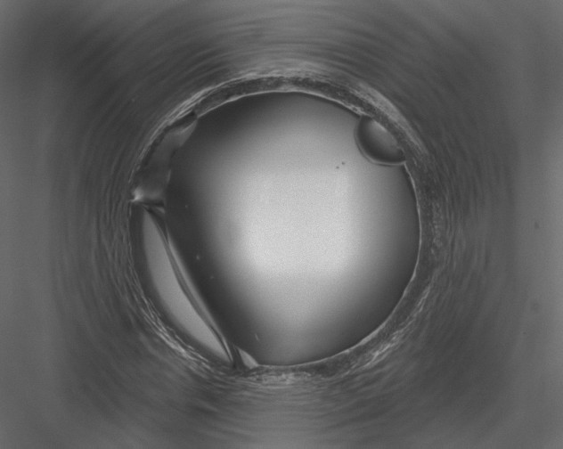 X0000082960826200702222337