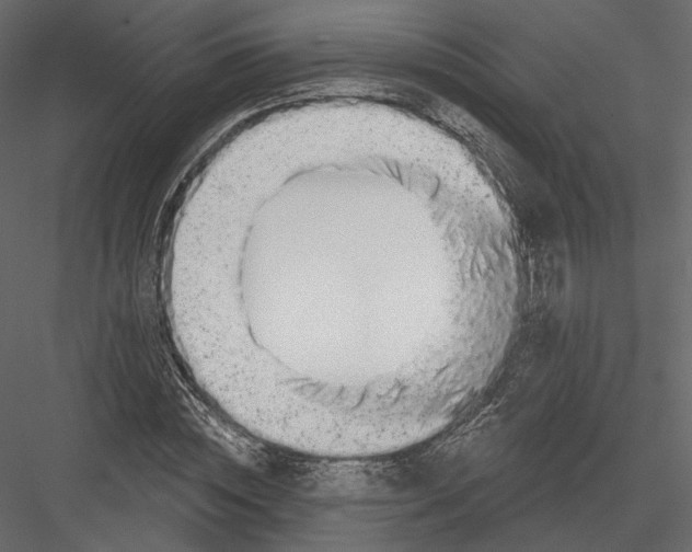 X0000082960828200702222337