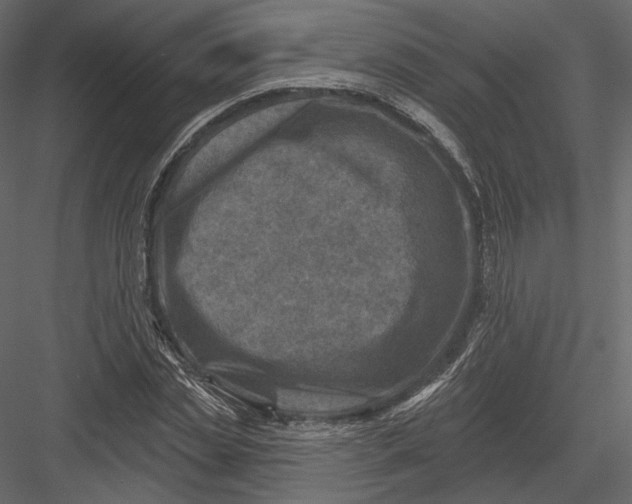 X0000082960829200702222337