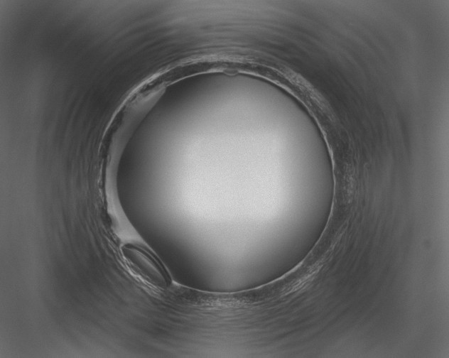 X0000082960830200702222337