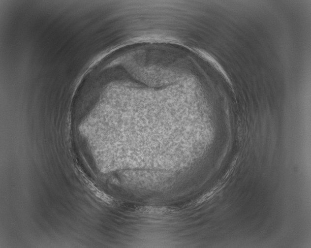 X0000082960831200702222337