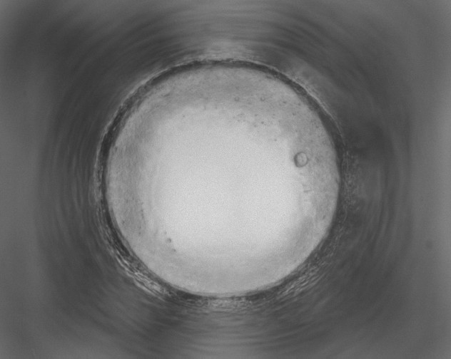 X0000082960832200702222337