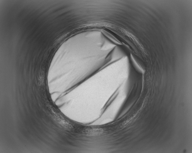 X0000082960833200702222337