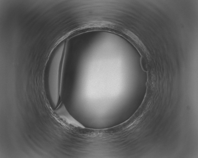 X0000082960834200702222338