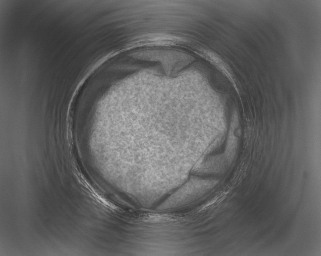 X0000082960835200702222338