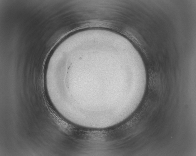 X0000082960836200702222338