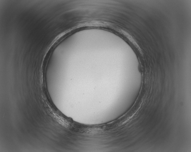 X0000082960837200702222338