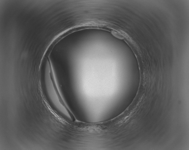 X0000082960838200702222338