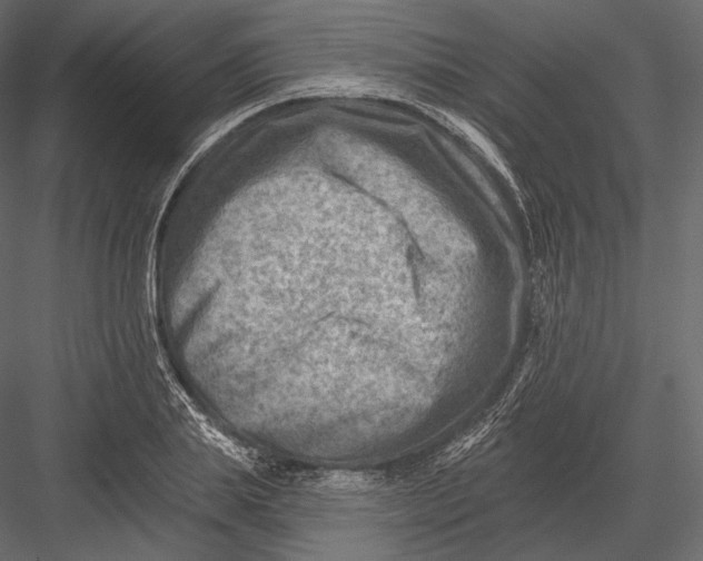 X0000082960839200702222338