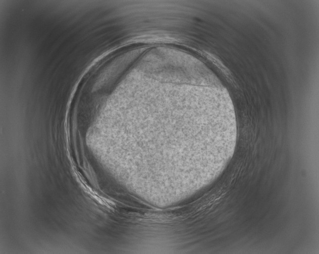 X0000082960840200702222338