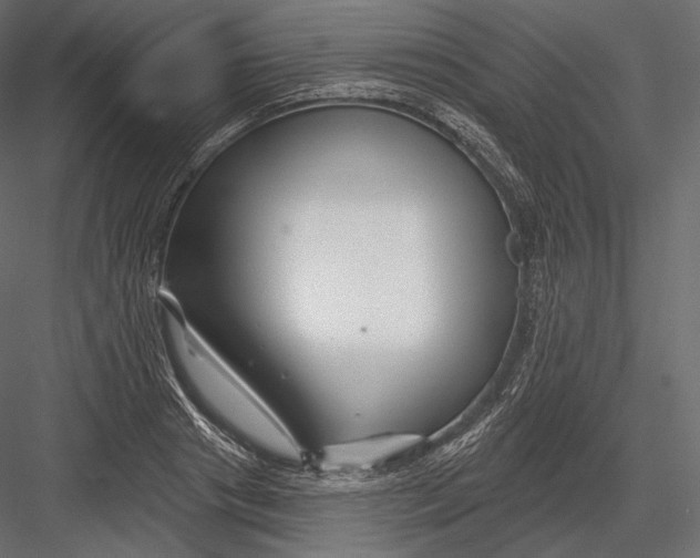 X0000082960841200702222338