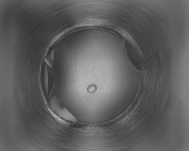 X0000082960842200702222338