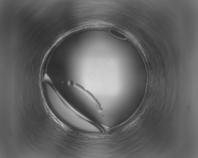 X0000082960843200702222338