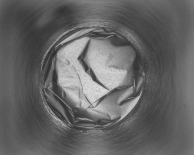 X0000082960844200702222338