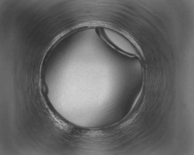 X0000082960845200702222338