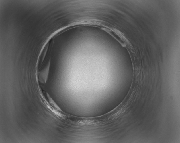 X0000082960846200702222338