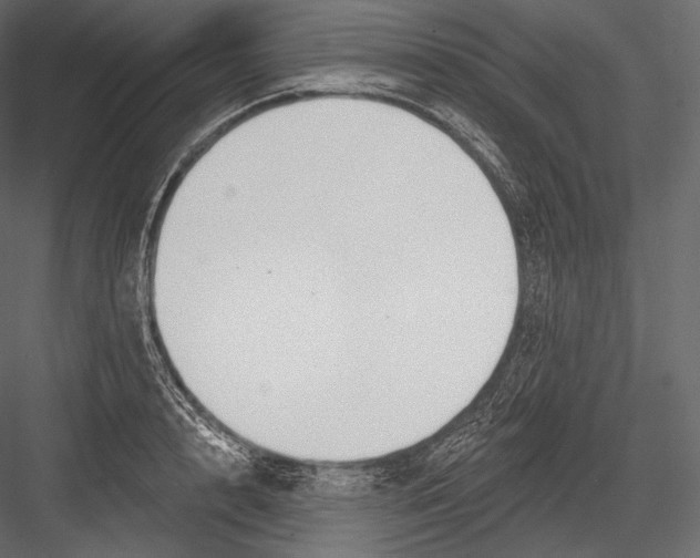 X0000082960848200702222338