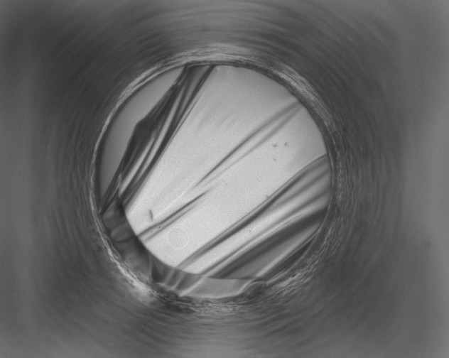 X0000082960850200702222338