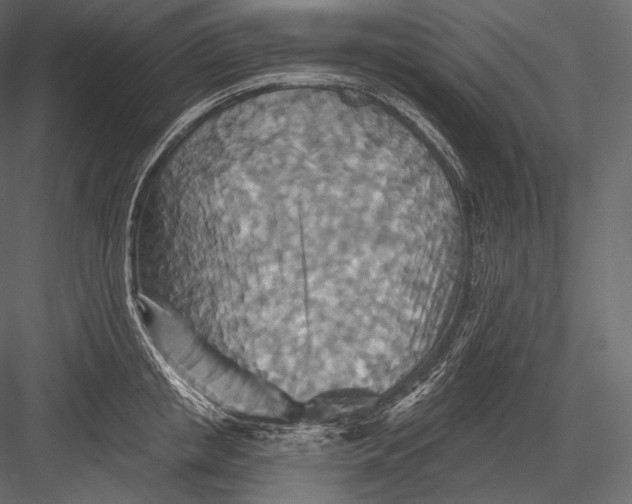 X0000082960853200702222338